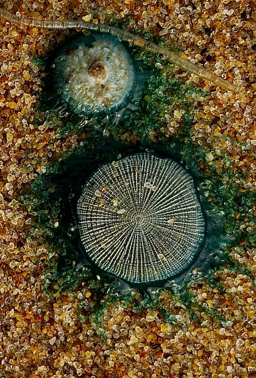 Conference photo placeholder