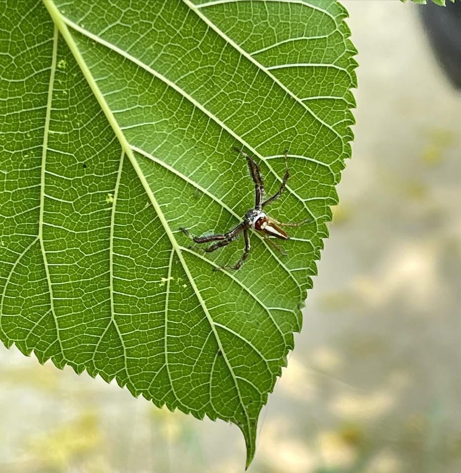 Lab photo placeholder