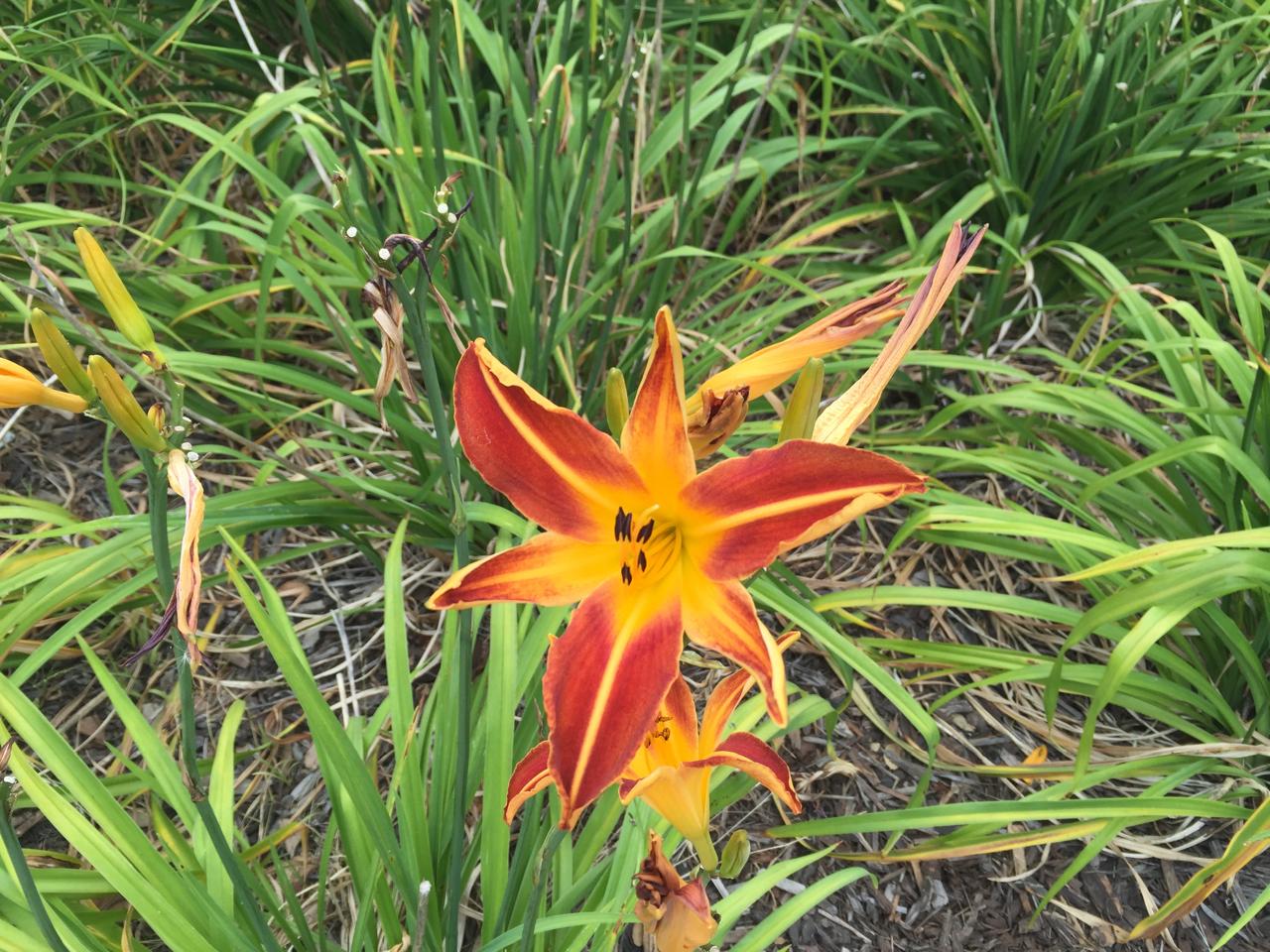 Workshop photo placeholder