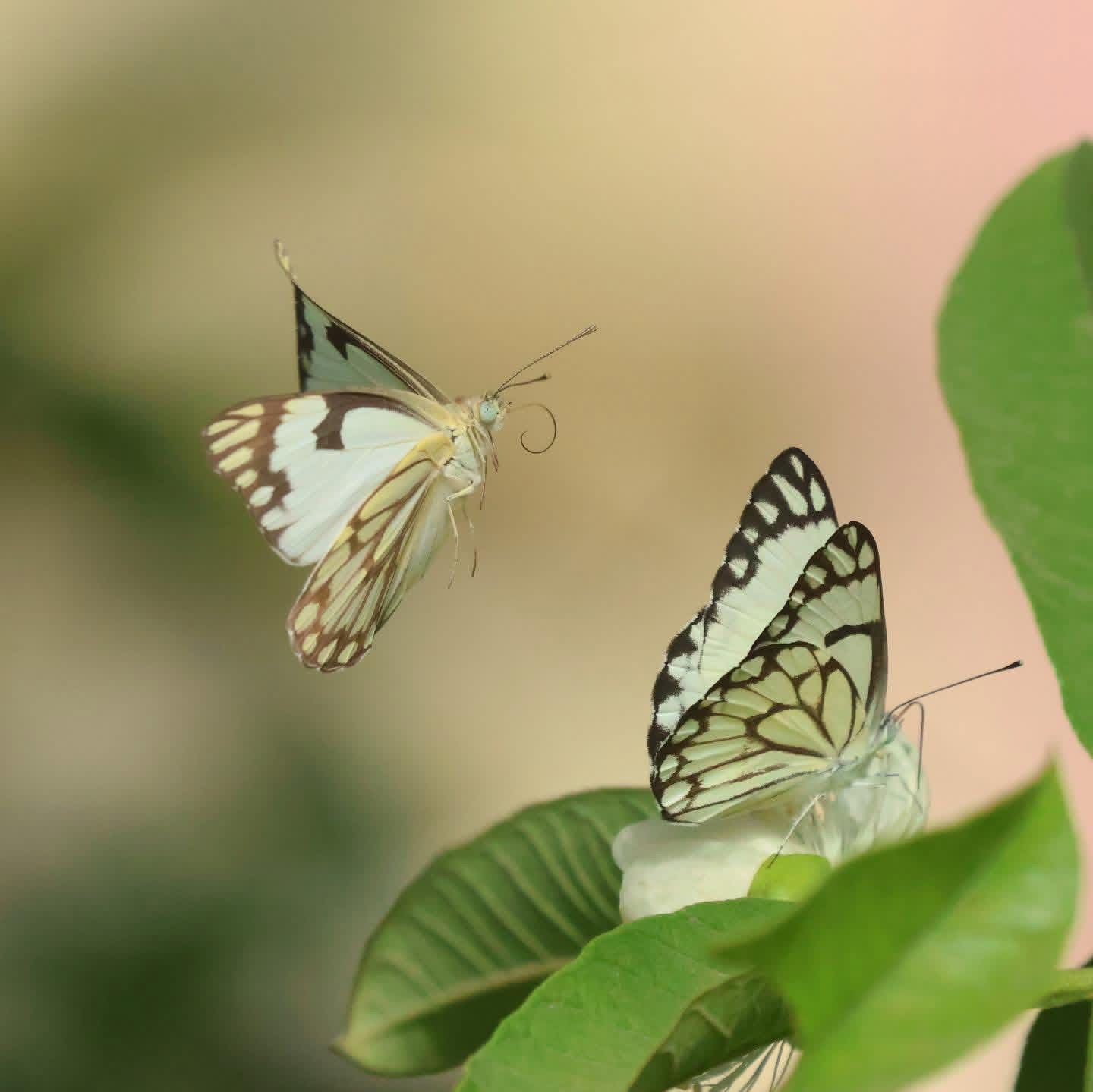 Award ceremony photo placeholder