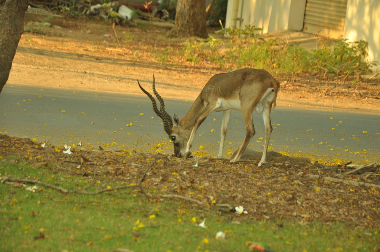 Teaching photo placeholder