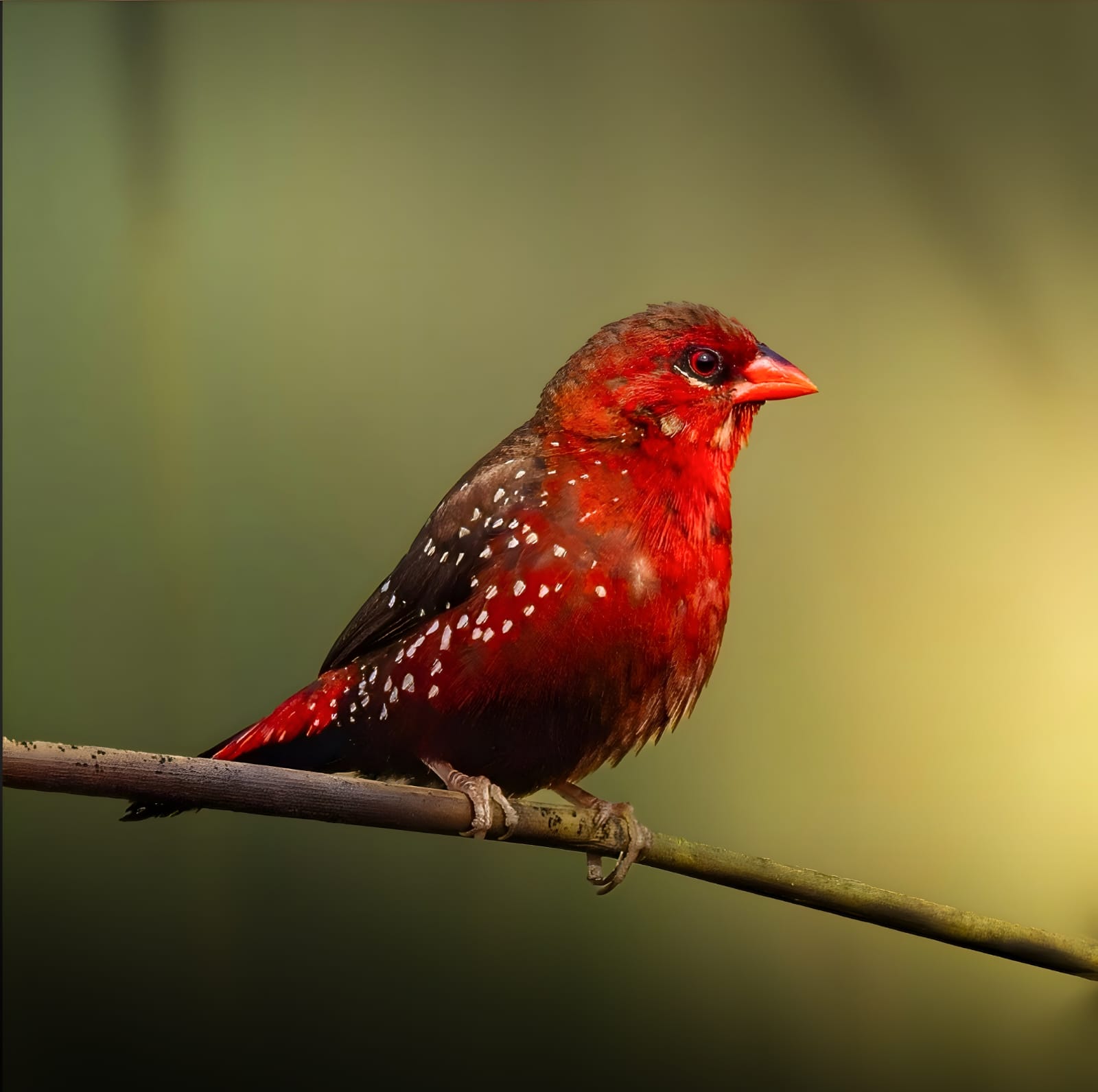 Teaching photo placeholder