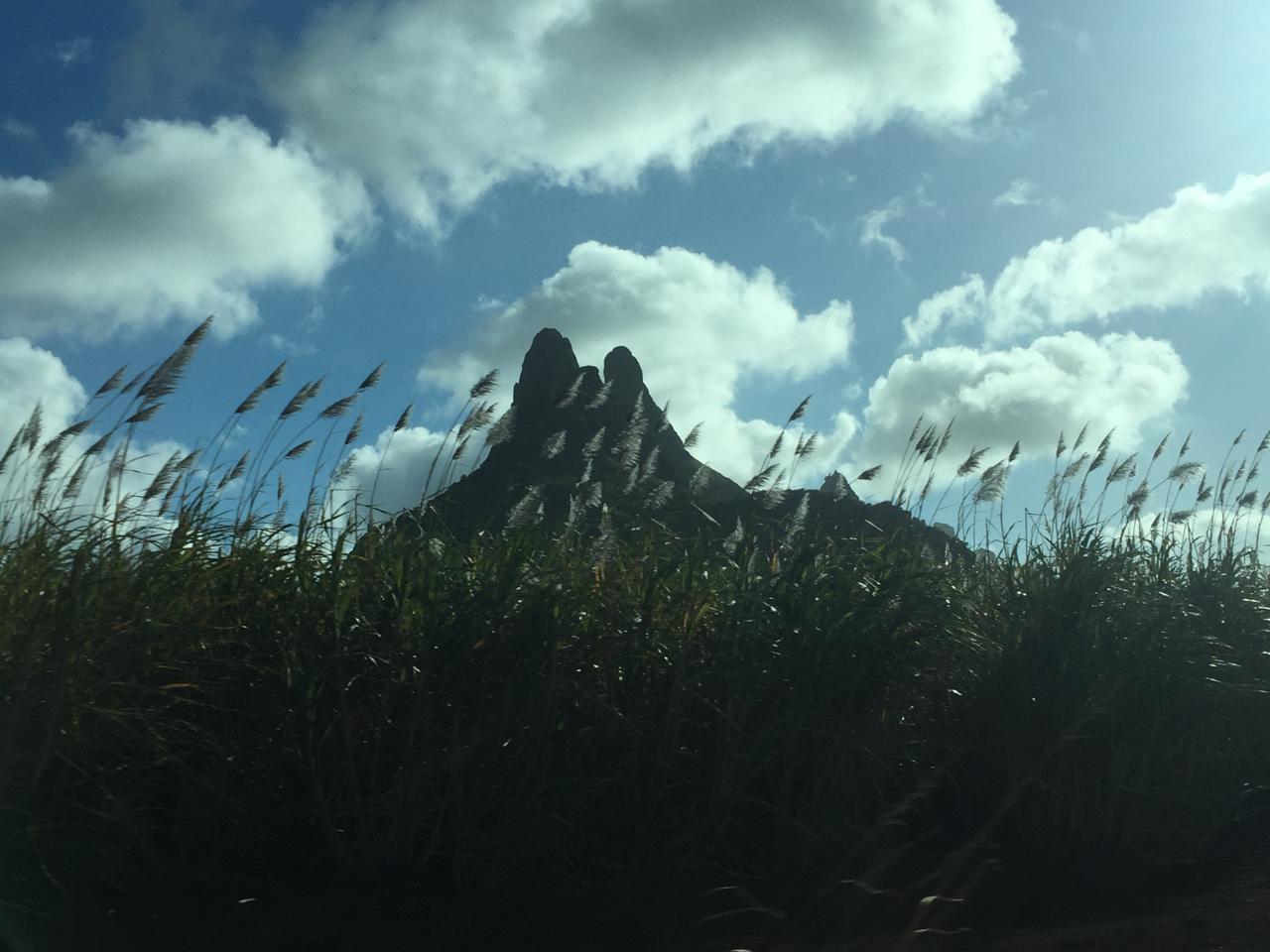 Lab Activities Album